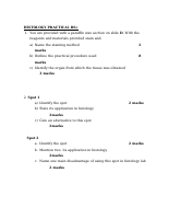 DEGREE HITO PRAC.docx